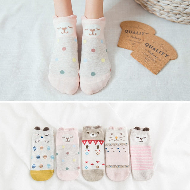 Pack de 5 calcetines