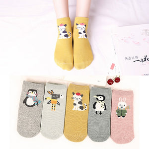 Pack de 5 calcetines